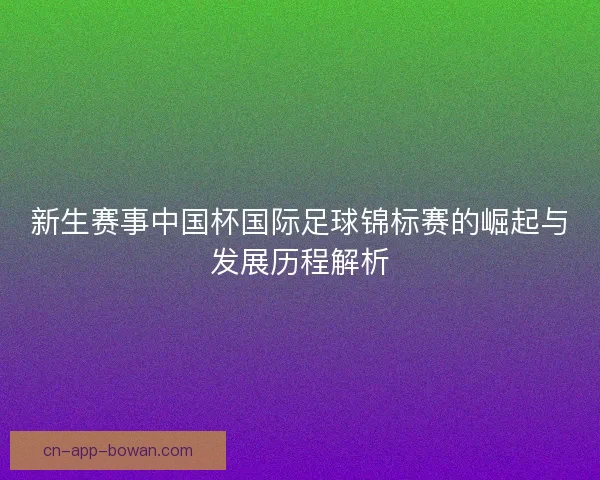 新生赛事中国杯国际足球锦标赛的崛起与发展历程解析